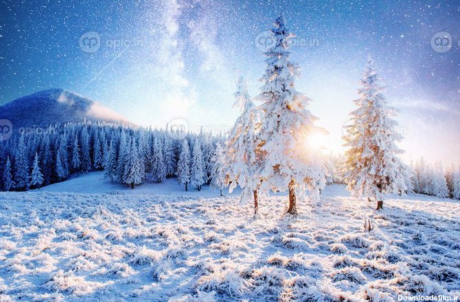 دانلود عکس لحظه جادویی درختان پوشیده از برف منظره زمستانی | اوپیک