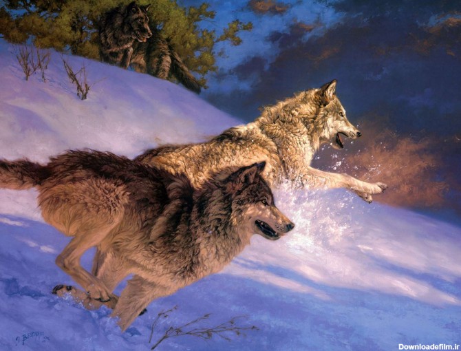 نقاشی از دو گرگ گرسنه
