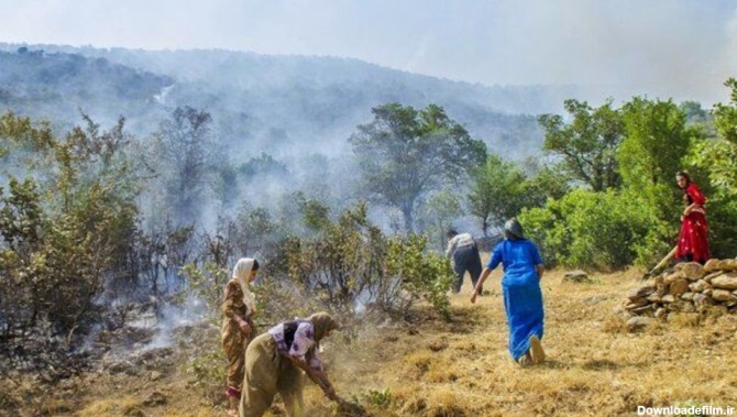 جان دادن جنگل های مریوان در آتش+عکس
