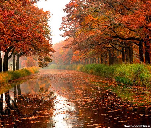 عکس پاییز؛ منظره و عکس طبیعت پاییزی زیبا و خاص | ستاره