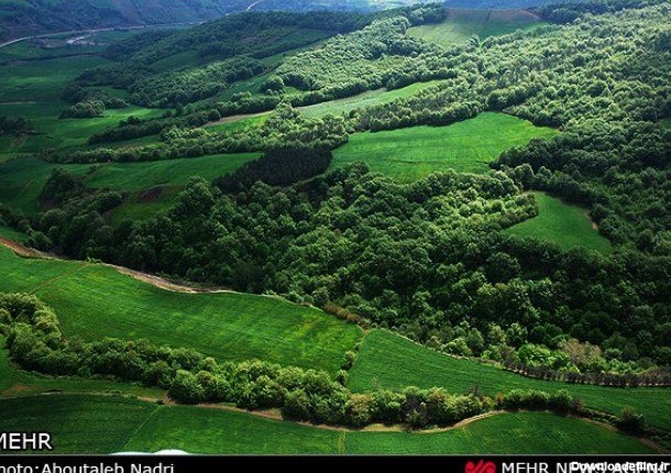 ۶ لکه از جنگل های هیرکانی مربوط به استان مازندران است ...