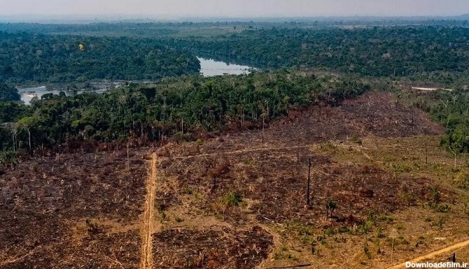 جنگل آمازون از بهبود دهنده به آلوده کننده هوا تبدیل می شود! (+عکس)