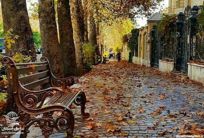 خیابان های معروف شیراز | خیابان هایی که در شیراز باید بروید!