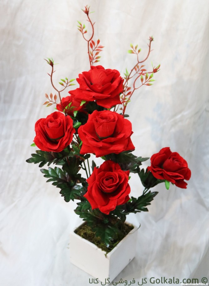 گلدان گل رز قرمز با قیمت استثنائی | گلفروشی گل کالا | 220 هزار تومان