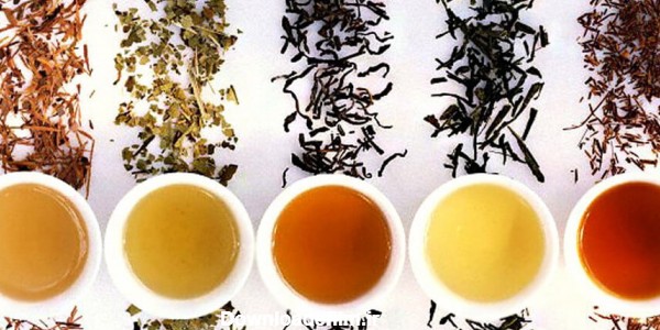 آشنایی با انواع چای - چای مارکت