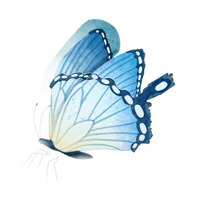 طرح لایه باز کلیپ آرت نقاشی پروانه آبی | تیک طرح مرجع گرافیک ...