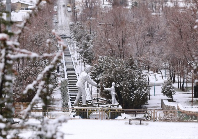 بارش زیبای برف زمستانی در شهرکرد به روایت تصویر - تسنیم