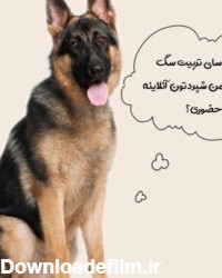 تربیت سگ ژرمن شپرد + آموزش نگهبانی ۱۴۰۱ ❤️ | وی آی پت
