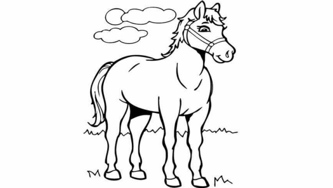 آموزش نقاشی اسب کودکانه به 3 روش مختلف