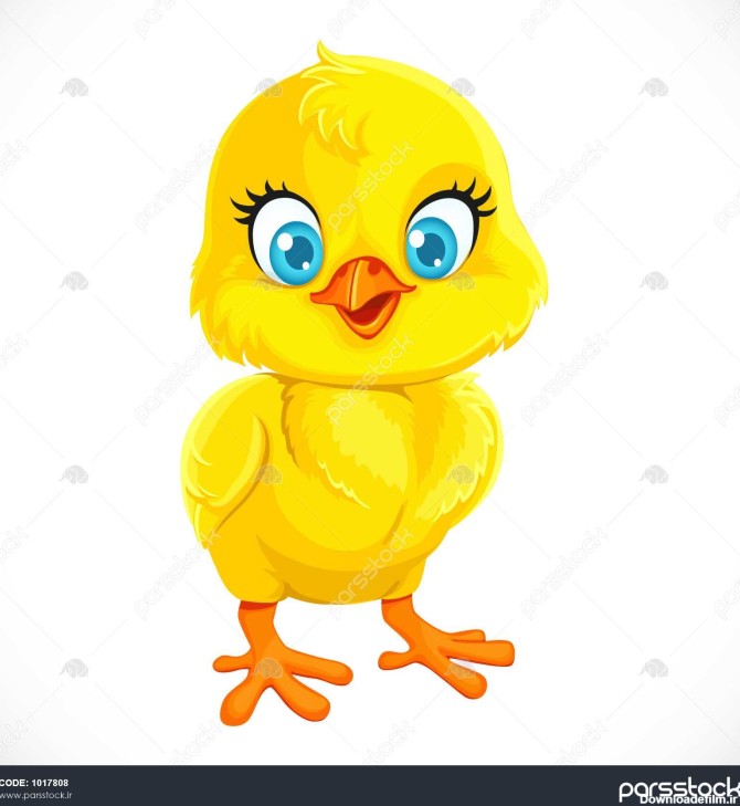 کارتونی زرد ناز بچه مرغ جدا شده در پس زمینه سفید 1017808