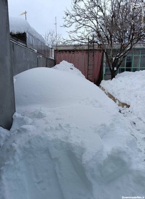 مشرق نیوز - عکس/حجم برف حیاط یک خانه در شهرکرد