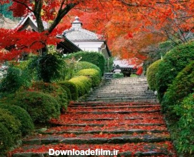 باغ ژاپنی (عکس)