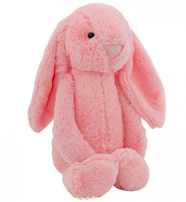 مشخصات، قیمت و خرید عروسک طرح خرگوش ارتفاع 45 سانتی متر | دیجی‌کالا