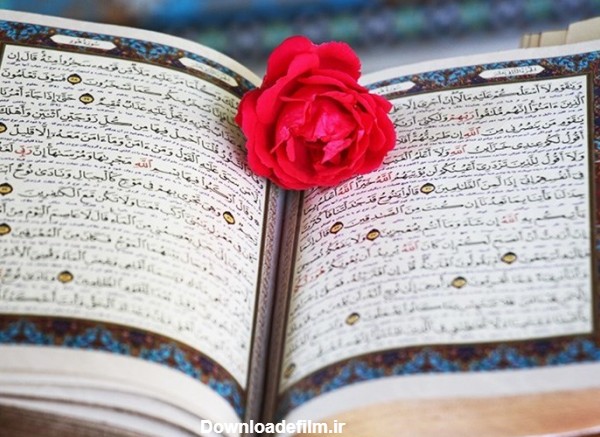 عکس/حلقه های زیبای حفظ قرآن در اندونزی- اخبار بین الملل تسنیم | Tasnim