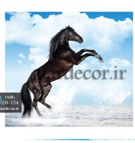 خرید پوستر دیواری اسب در طرح های متنوع ویژه خاص پسندان