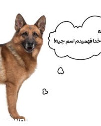 تربیت سگ ژرمن شپرد + آموزش نگهبانی ۱۴۰۱ ❤️ | وی آی پت