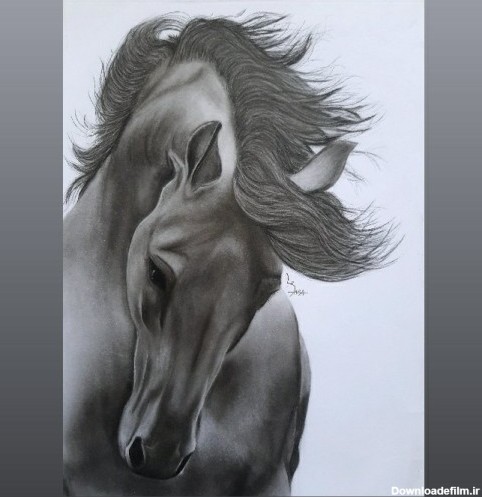 خرید و قیمت نقاشی سیاه قلم مدل اسب از غرفه گالری هنری آژا | باسلام