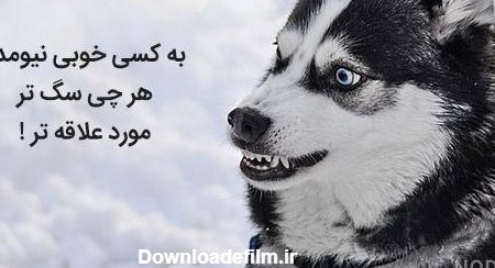 عکس لاتی اینستا