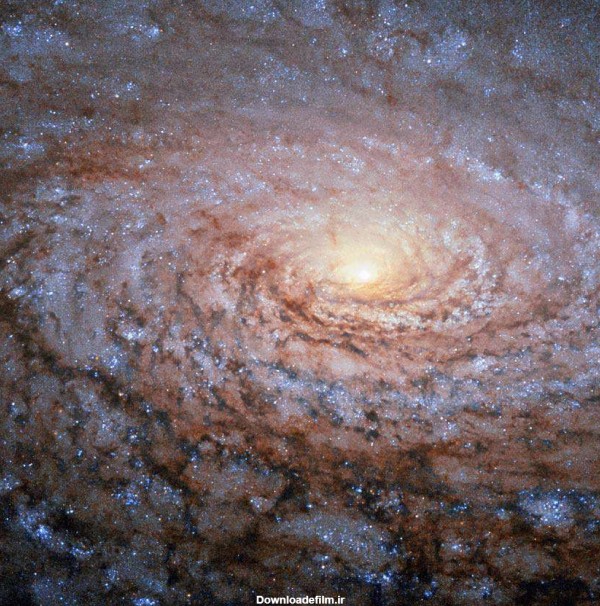 کهکشان گل آفتابگردان/ عکس ثبت شده توسط ناسا