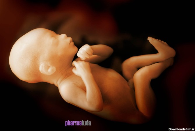 علائم جنین مرده در شکم – فارماکالا