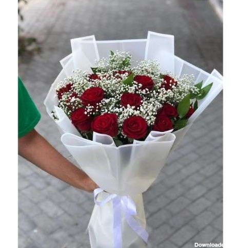 شاخه گل رز برای روز معلم a849 09129410059- ارسال دسته گل در محل ...