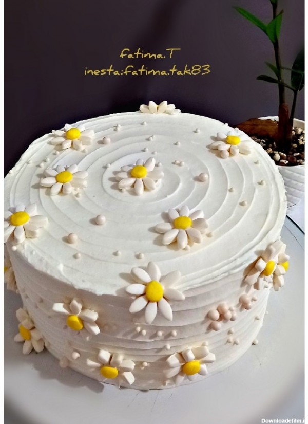 کیک گل بابونه | سرآشپز پاپیون