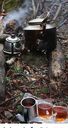 عکس چای زمستان ❤️ [ بهترین تصاویر ]