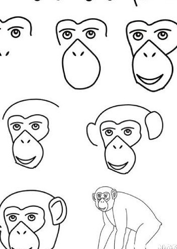 نقاشی از صورت میمون