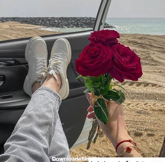 عکس گل رز تو ماشین