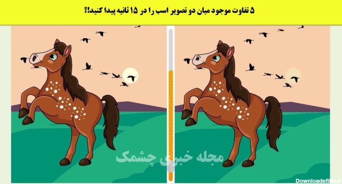 5 تفاوت موجود میان دو تصویر اسب را در 15 ثانیه پیدا کنید!؟