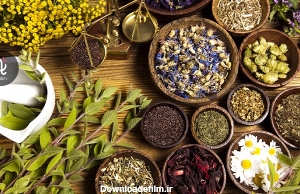 انواع چای گیاهی و بررسی 10 نوع برتر آن برای مصرف شما - کافی مافی