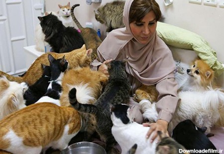 زنی که 500 گربه و سگ در خانه دارد! (+عکس)