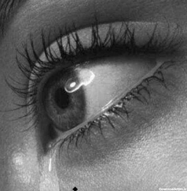 گریه های بی صدا - عکس ویسگون