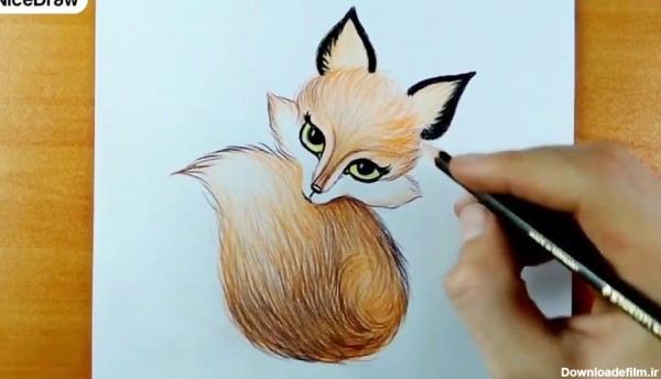 عکس نقاشی از روباه