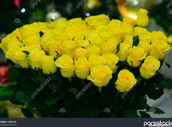 دسته گل رز زرد 1224133