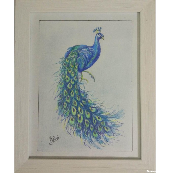 قیمت و خرید تابلو نقاشی مدادرنگی طرح طاووس