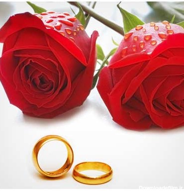 عکس با کیفیت گلهای رز و حلقه ازدواج