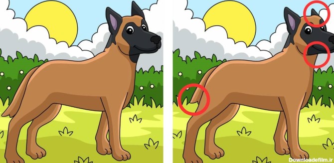 چشات مثل شاهین تیزه اگه 3 تا اختلاف دو تصویر سگ قهوه ای را پیدا کنی!