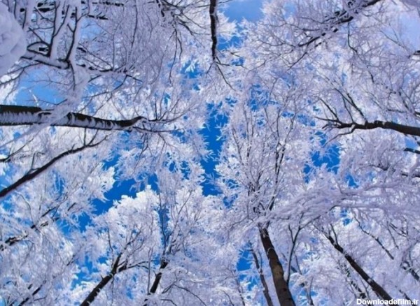 مجموعه عکسهای زمستانی زیبا برای پروفایل (جدید)
