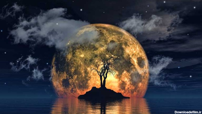 تصویر باکیفیت ماه و درخت شبح وار | تیک طرح مرجع گرافیک ایران