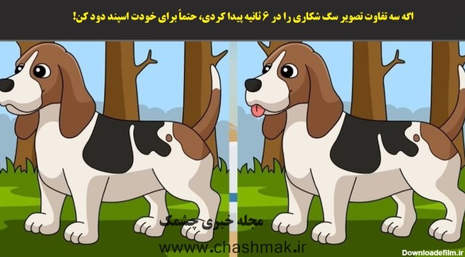 اگه سه تفاوت تصویر سگ شکاری را در 6 ثانیه پیدا کردی، حتماً برای ...
