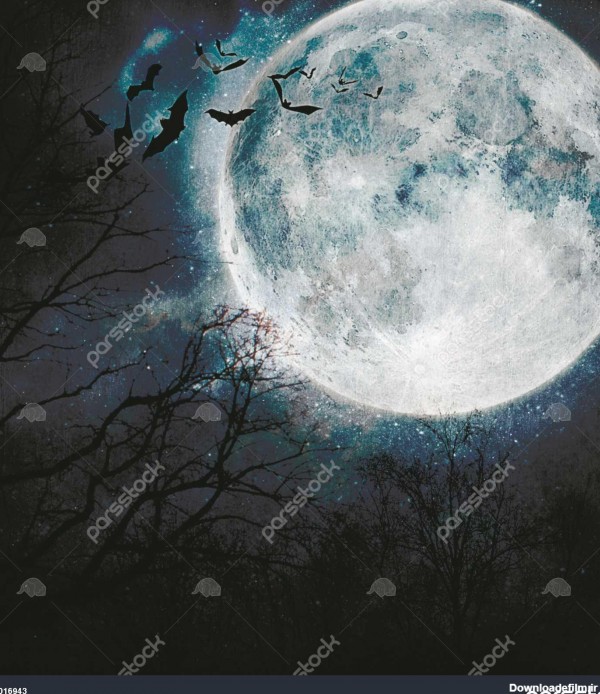 پس زمینه هالووین. خفاش پرواز در شب با ماه کامل در پس زمینه. 1016943
