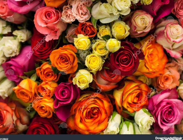 دسته گل زیبا از گل های رنگارنگ 1412842