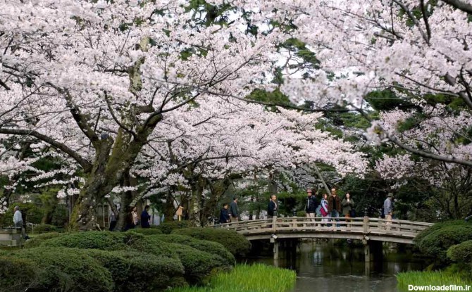 15 مکان زیبا در ژاپن که از وجود آن بی ‌خبرید!
