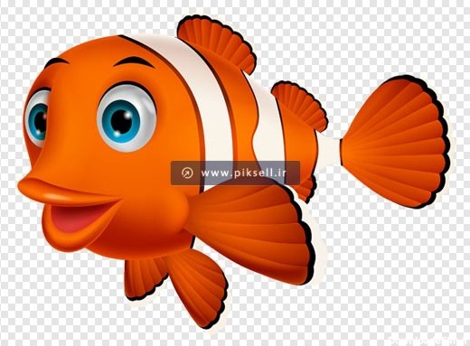 فایل دوربری شده ماهی قرمز کوچولو یا نیمو با پسوند png