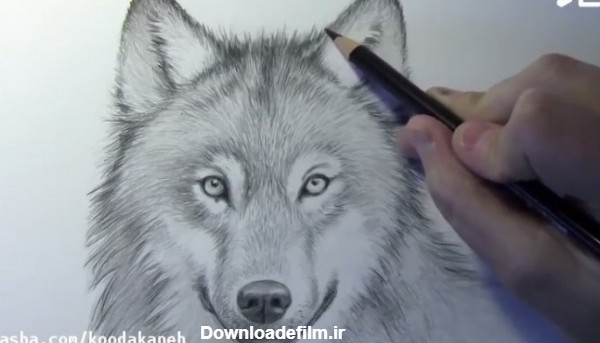 نقاشی گرگ کودکانه با تکنیک جالب و آسان - Kids TV