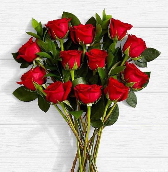 سفارش گل اینترنتی- دسته گل رز قرمز