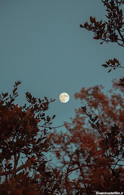 پکیج 10 عددی تصویر زمینه فوق العاده با کیفیت ماه در شب برای موبایل ...