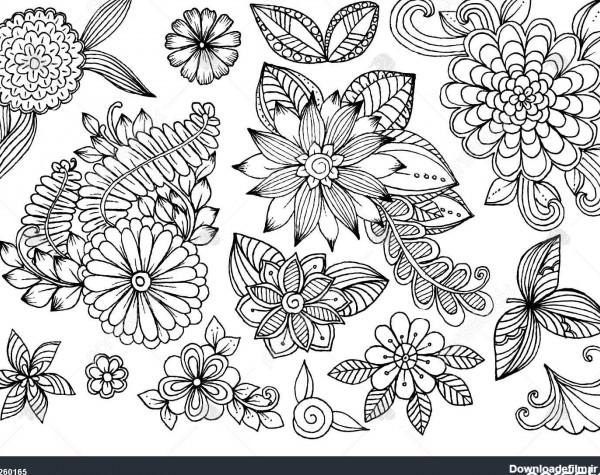 مجموعه گل های سیاه و سفید ابله مجموعه ای از عناصر طراحی گل 1260165