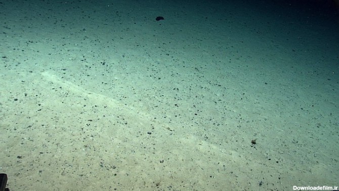 فرارو | (تصاویر) کشف حفره‌های مرموز و عجیب در کف اقیانوس اطلس!